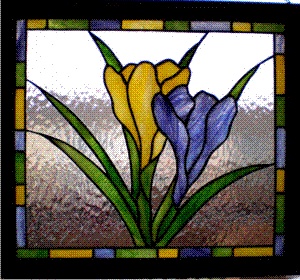 carol boyette crocus