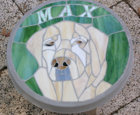 patricia nasella stepping stone of a retriever