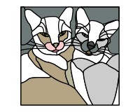 2 Siamese cats (image for) 2 Siamese cats