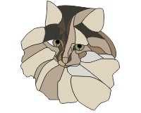 (image for) Laraines cat