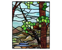 Aspen tree close (image for) Aspen tree close