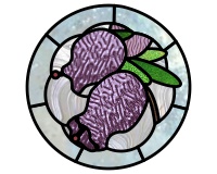 (image for) Bell Heather, Erica Cinerea, round pattern, purple bell flower