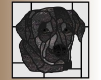 (image for) Black labrador dog 1