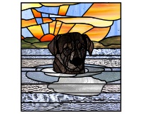 (image for) Black labrador water reflection sunbeams