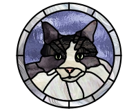 (image for) Black and white cat border