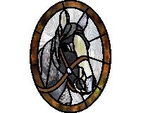 (image for) Black and white horse