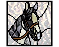 (image for) Black and white horse square