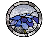 (image for) Blue daisy - simplest