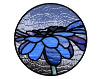 (image for) Blue daisy