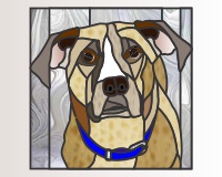 (image for) Boxer dog portrait 1 (different ear)