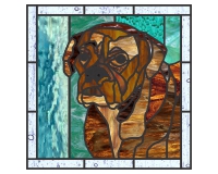 (image for) Boxer named Tank 1