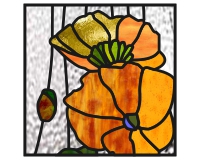 (image for) California poppies 2 square