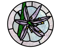 (image for) Camas lily, round pattern with scalloped border, stained glass