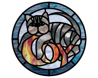 (image for) Cat climbing over the name Coy, round with border