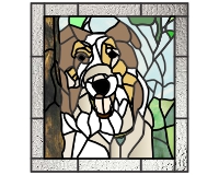 (image for) Collie dog border