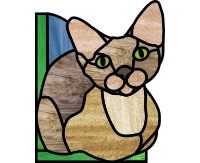 Window corner - Siamese cat (image for) Window corner - Siamese cat