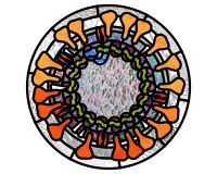(image for) SARS Cov-2, Coronavirus fun stained glass mandala pattern