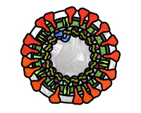 (image for) Coronavirus SARS Cov-2 mandala suncatcher pattern