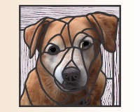 (image for) Little rescue (dog) Lucy