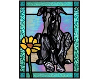 (image for) Greyhound v5 and daisy