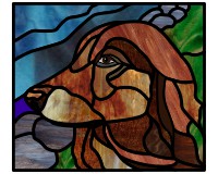 (image for) Rico red retriever 2