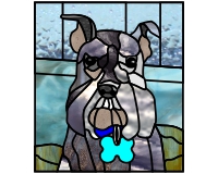 (image for) Schnauzer Wriglie 1