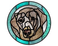 (image for) Silver labrador, puppy, round border pattern