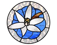 (image for) Star of Bethlehem, round floral pattern for stained glass
