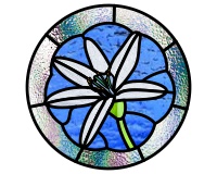 (image for) Star of Bethlehem var 1, round floral pattern for stained glass