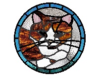 (image for) Tabby cat 1