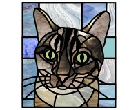 (image for) Tabby cat 2