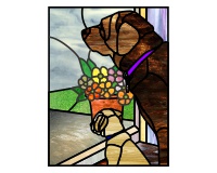 (image for) Two dogs (looking out a porch window)