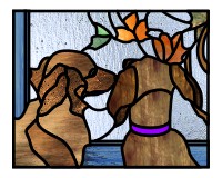 (image for) Two long haired miniature daschunds 2