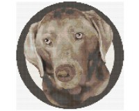 (image for) xst Silver Labrador retriever, pet keepsake cross stitch pattern