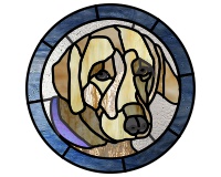 (image for) Yellow labradore (retriever)