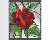 (image for) Lincoln rose 1