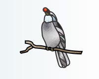 (image for) Bird (and berry) suncatcher