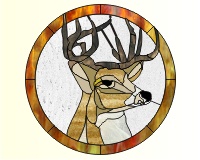 (image for) Buck 1 (deer with antlers)