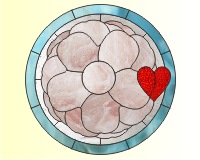 (image for) Camille camellia