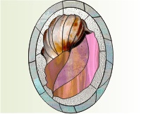 (image for) Shells - Conch seashell oval