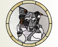 (image for) Dog, border collie round var 1