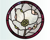 (image for) Dogwood blossom 1