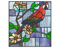 (image for) Parrot 1