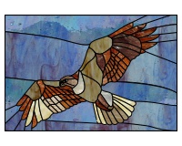 (image for) Red tailed hawk b
