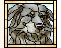 (image for) Rescue dog 1