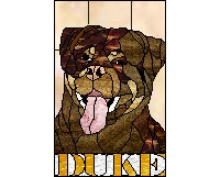 (image for) Rottweiler DUKE
