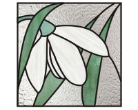 (image for) Snowdrop flower