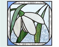 (image for) Snowdrop flower 2