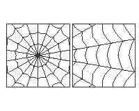 (image for) Spider webs