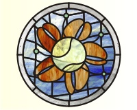 Tennis ball flower (image for) Tennis ball flower